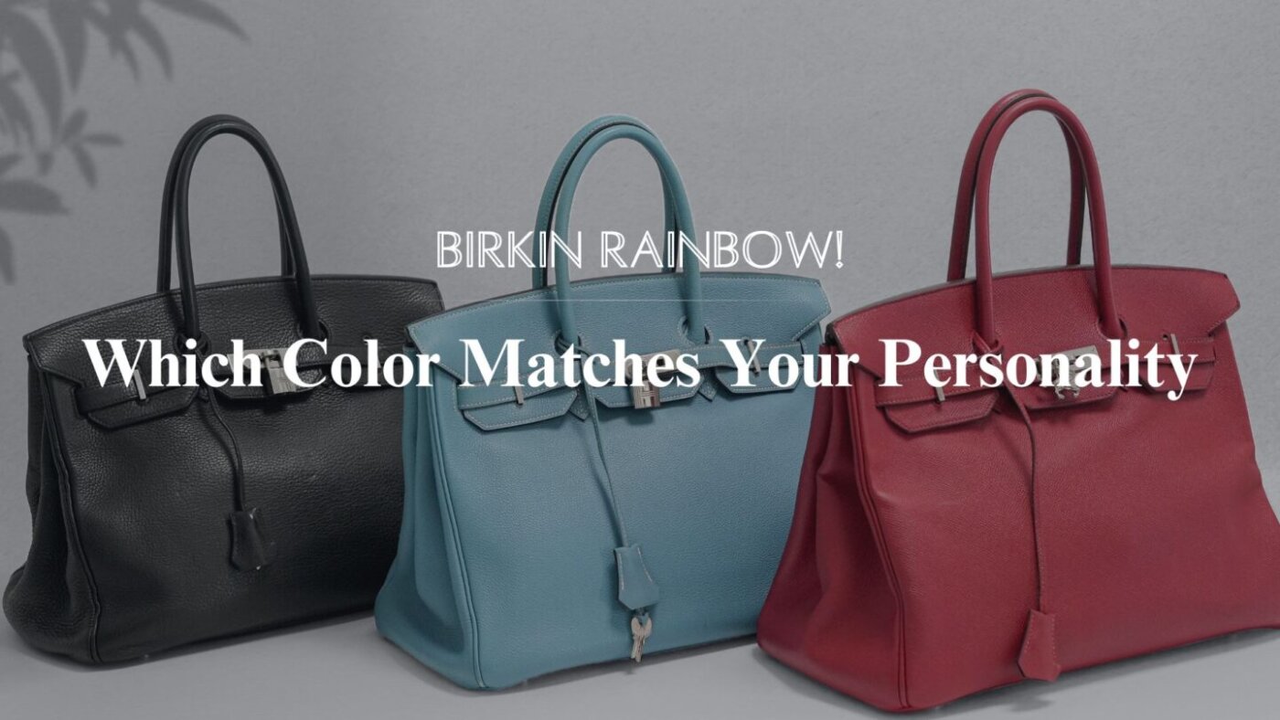 Birkin Rainbow: Which Color Matches Your Personality?