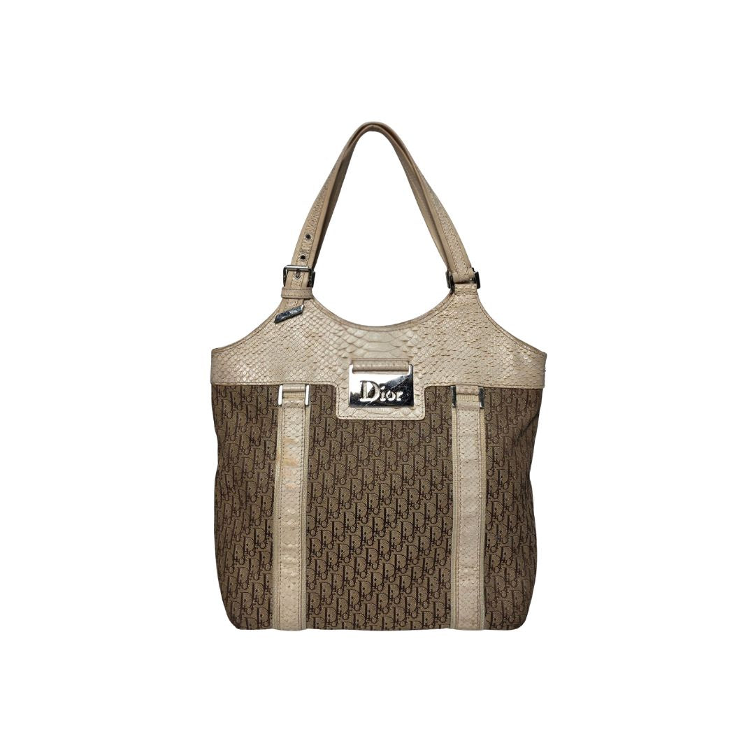 Christian Dior Street Chic Trotter Canvas Tote Bag