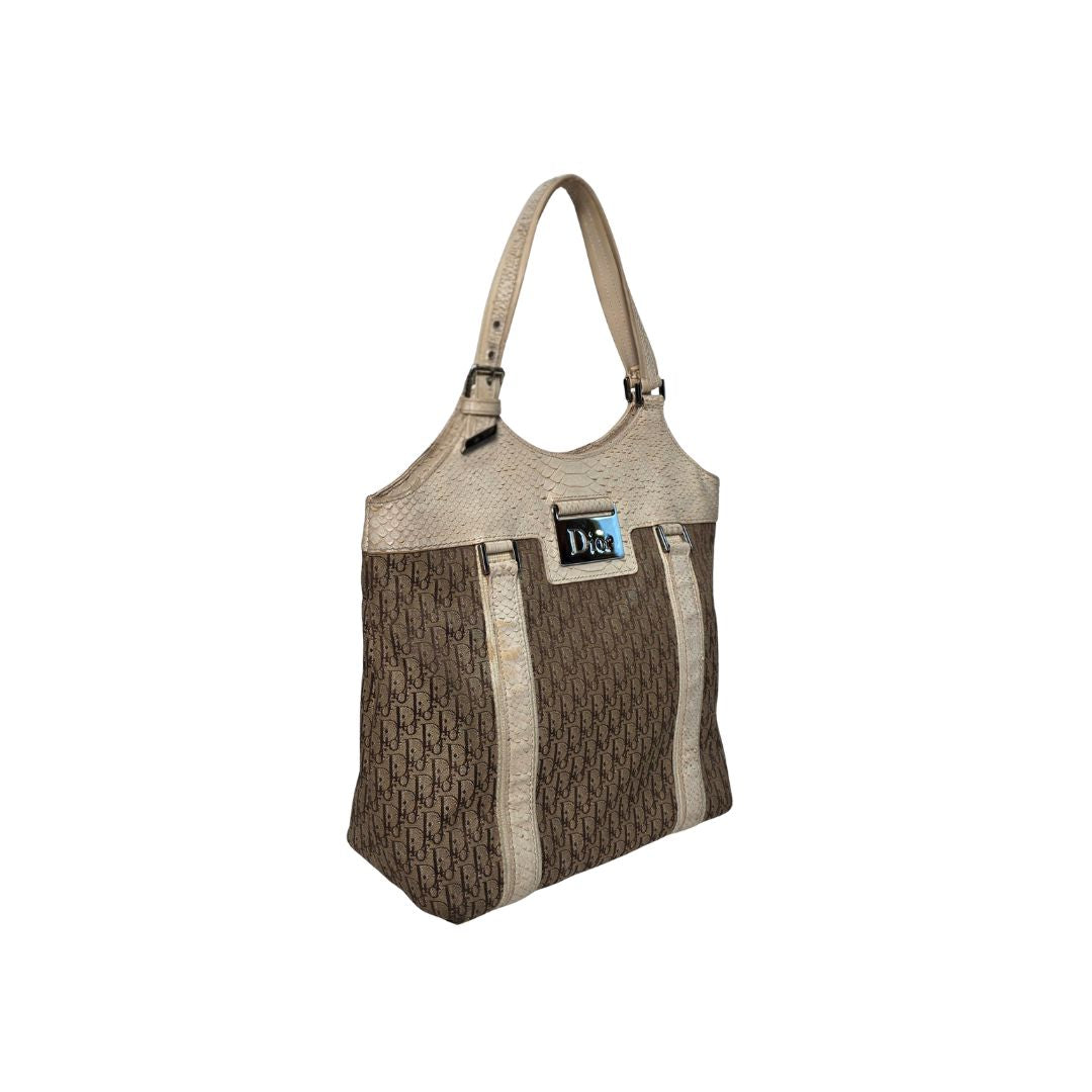 Christian Dior Street Chic Trotter Canvas Tote Bag
