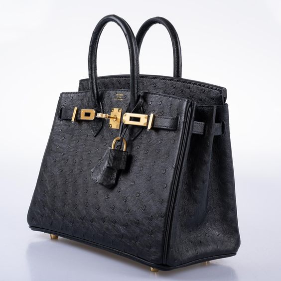 Birkin Rainbow: Which Color Matches Your Personality?